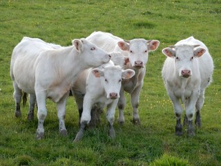 Maison de vacances Rémilly Environnement 33