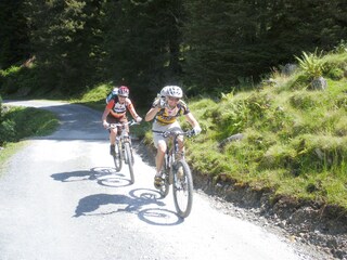 Appartamento per vacanze Hochkrimml Ambiente 19