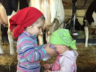 Appartamento per vacanze Vöran Ambiente 25