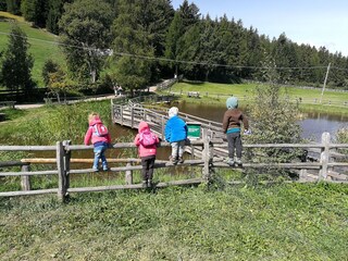 Appartamento per vacanze Vöran Ambiente 28