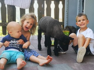 Appartamento per vacanze Vöran Ambiente 30