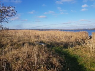 Bank am Bodden (600m)