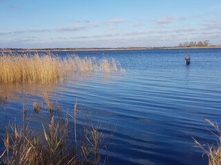 Bodden im November (600m)