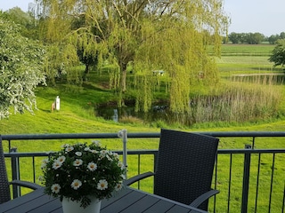 Blick vom Balkon in den Gemeinschaftsgarten