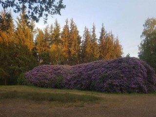 Casa de vacaciones Uddel Entorno 27