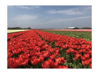 Appartamento per vacanze Petten Ambiente 29