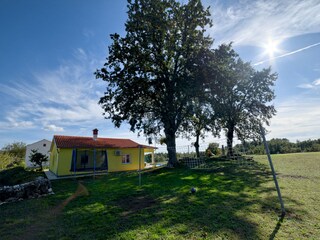 Villa Marčana Ambiente 17