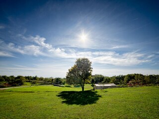 Villa Marčana Ambiente 18