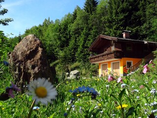 Chalet Zell am See Registrazione all'aperto 4