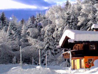 Chalet Zell am See Registrazione all'aperto 2