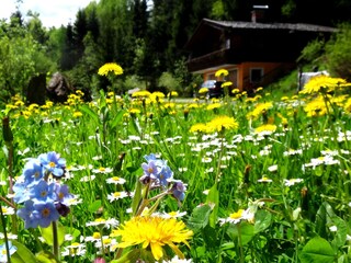 Chalet Zell am See Ambiente 17