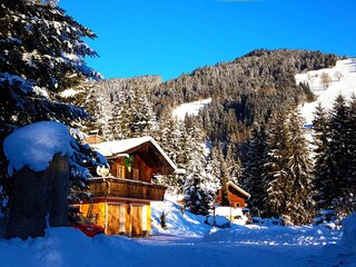 Chalet Zell am See Registrazione all'aperto 5