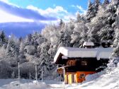 Chalet Zell am See Buitenaudio-opname 1