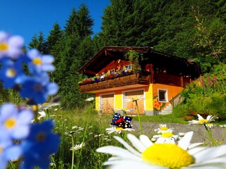 Chalet Zell am See Registrazione all'aperto 2