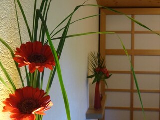 Chalet Zell am See Caratteristiche 11