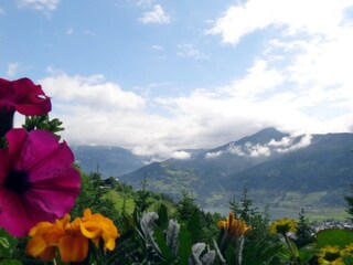 Chalet Zell am See Omgeving 8