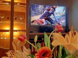 Chalet Zell am See Caratteristiche 8