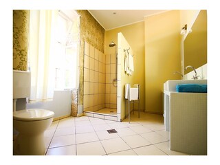 Villa Grižane Caratteristiche 21