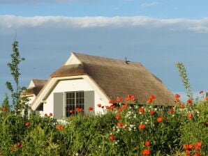 Holiday house Reetdachhaus Typ A im Feriendorf am Bakenberg