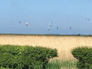 Kitesurfer am Strand "Gold"