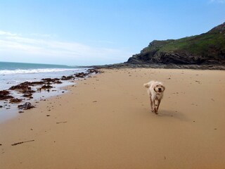 Casa per le vacanze Barneville-Carteret Ambiente 19