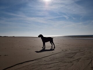 Casa per le vacanze Barneville-Carteret Ambiente 22