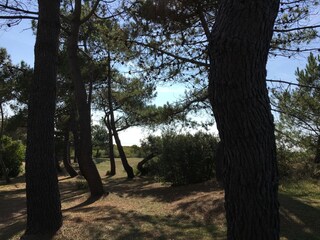 Casa per le vacanze Barneville-Carteret Ambiente 25