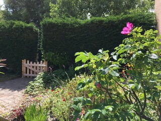 Casa per le vacanze Barneville-Carteret Registrazione all'aperto 4