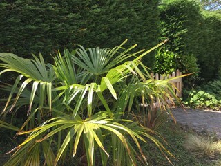 Casa per le vacanze Barneville-Carteret Registrazione all'aperto 5