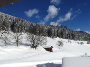 Holiday apartment Hettlgrub - Bramberg am Wildkogel - image1