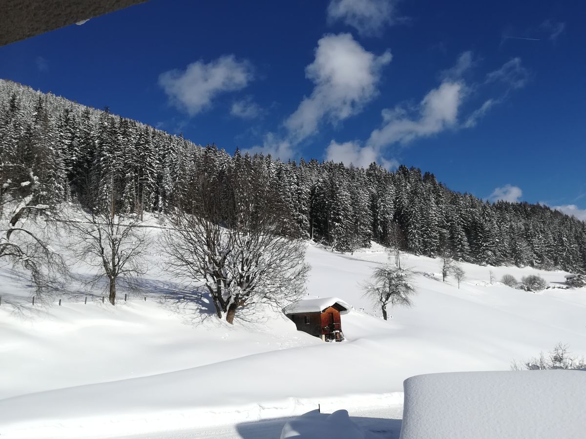 Appartamento per vacanze Bramberg am Wildkogel Registrazione all'aperto 1