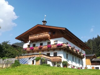 Vakantieappartement Bramberg am Wildkogel Buitenaudio-opname 3