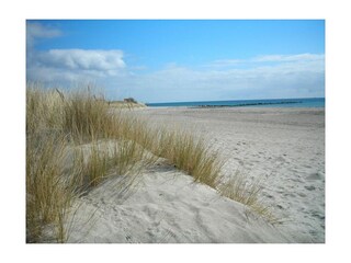 Holiday apartment Burg auf Fehmarn Environment 33