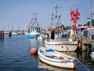 Holiday apartment Burg auf Fehmarn Environment 35