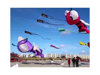 Holiday apartment Burg auf Fehmarn Environment 36