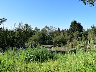 Ferienhaus Brilon Außenaufnahme 3