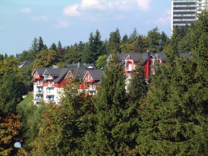 Holiday apartment "Tannenblick" - Oberhof - image1