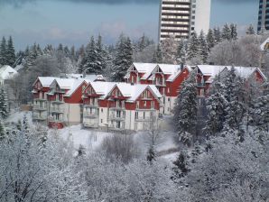 Appartement de vacances Maison Vue des Sapins - Oberhof - image1