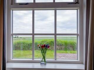 Casa per le vacanze Oosterend Caratteristiche 14