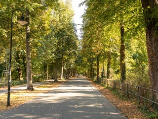 Münsters Promenade rund um die Innenstadt