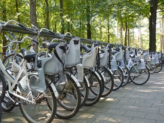 Vakantiehuis Uddel Omgeving 36