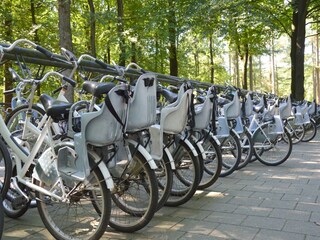 Vakantiehuis Uddel Omgeving 31