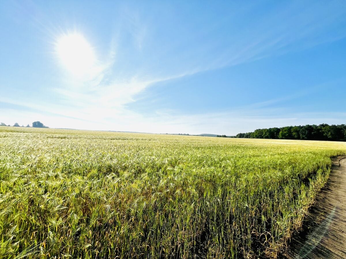 unsere wundervolle Natur