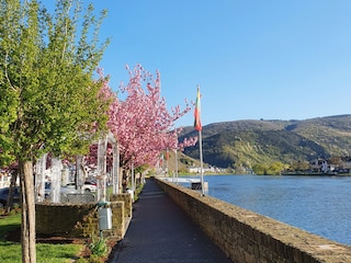 Moselpromande der Altstadt Zell