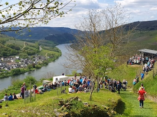 Event in den Weinbergen