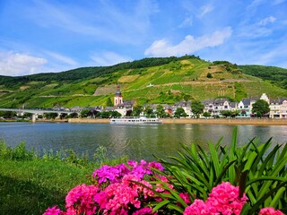 Zell an der Mosel