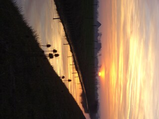 Vakantieappartement Aagtekerke Omgeving 26