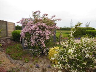 Appartamento per vacanze Aagtekerke Registrazione all'aperto 8