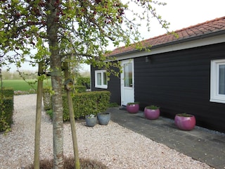 Haupteingang und 2 Terrassen