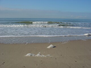 Appartamento per vacanze Aagtekerke Ambiente 18